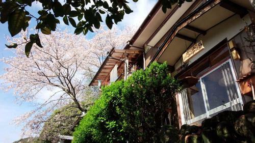 Hostal Kappa Backpackers