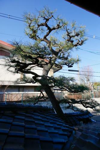 Villa Matsuharu Ann
