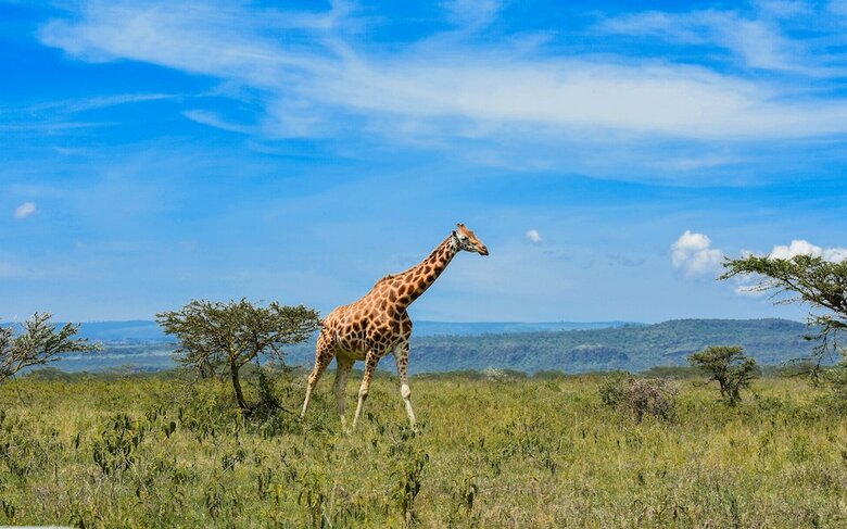 Lake Nakuru Lodge