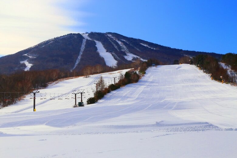 Appi Kogen Onsen Hotel