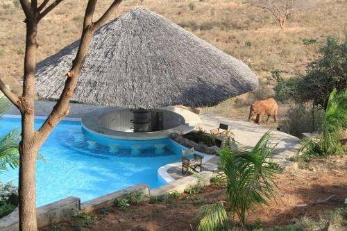 Lion Hill Safari Lodge