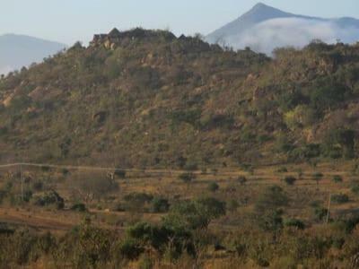 Lion Hill Safari Lodge
