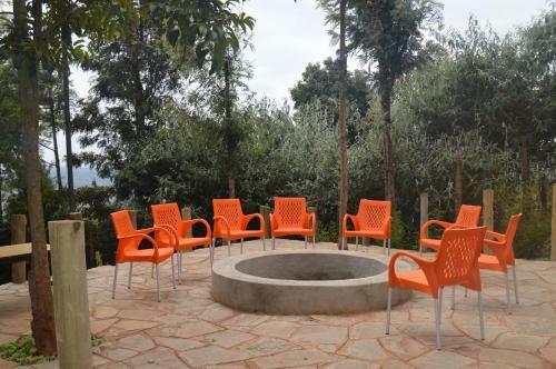 Hostal Jari Inn And Bistro