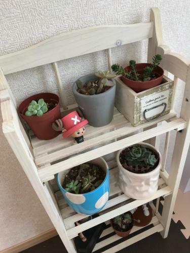 Apartamento Yu Yu Minshuku