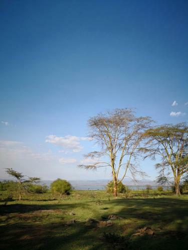Sarandy Holiday Homes Naivasha