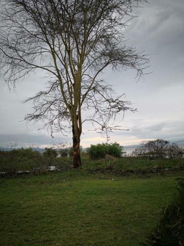 Sarandy Holiday Homes Naivasha
