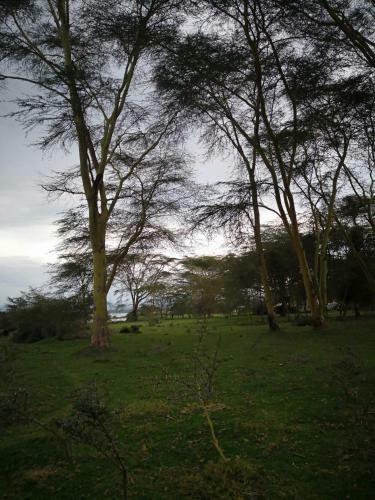 Sarandy Holiday Homes Naivasha