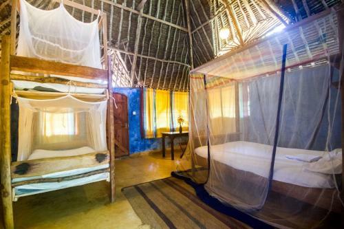 Distant Relatives Ecolodge & Backpackers