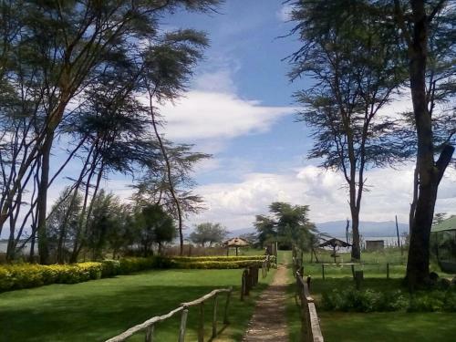 Hotel Hippo Safaris Resort