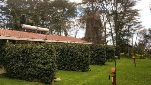 Hotel Hippo Safaris Resort