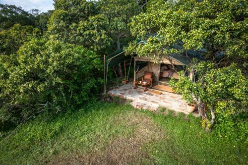Losokwan Luxury Tented Camp - Maasai Mara