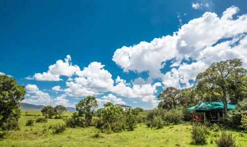 Losokwan Luxury Tented Camp - Maasai Mara
