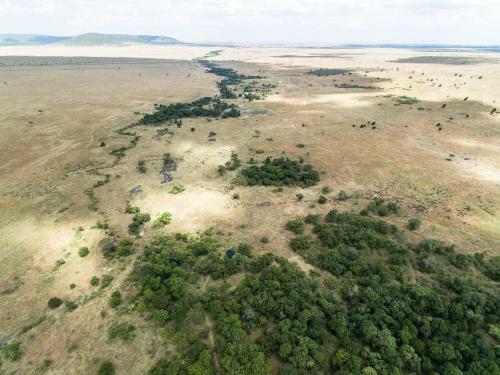 Losokwan Luxury Tented Camp - Maasai Mara