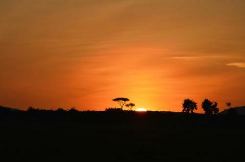 Losokwan Luxury Tented Camp - Maasai Mara