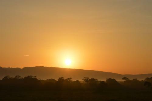 Losokwan Luxury Tented Camp - Maasai Mara