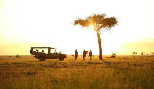 Wilderness Camp