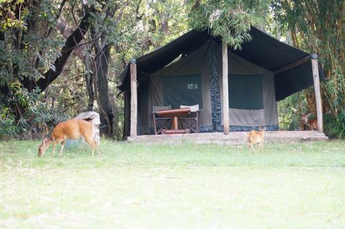 Lodge Siana Springs Tented Camp