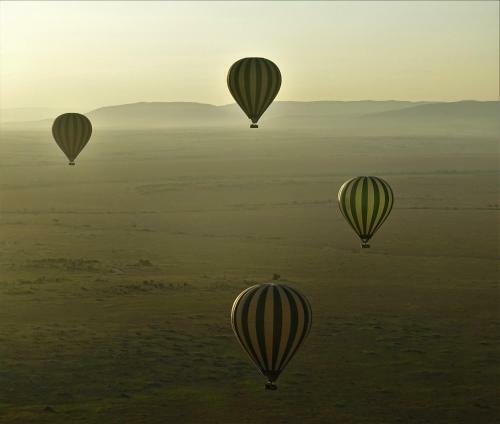 Oseki Maasai Mara Camp