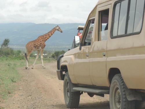 Oseki Maasai Mara Camp