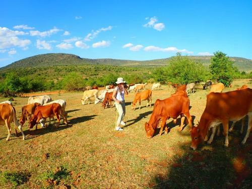 Oseki Maasai Mara Camp