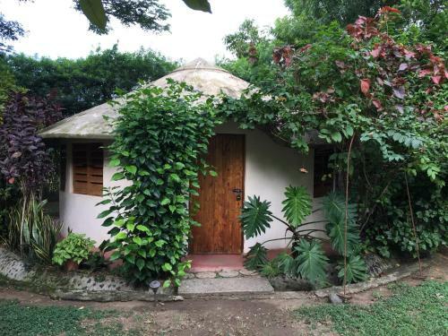Hotel Wayando Beach Eco Lodge