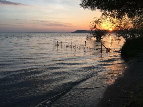 Hotel Wayando Beach Eco Lodge