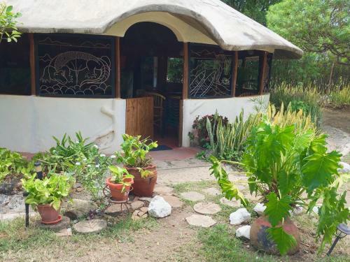 Hotel Wayando Beach Eco Lodge