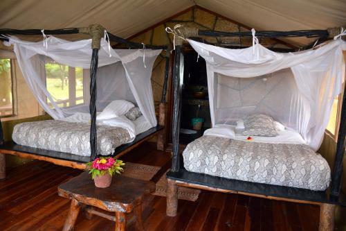 Shimba Hills Green Safari Lodge