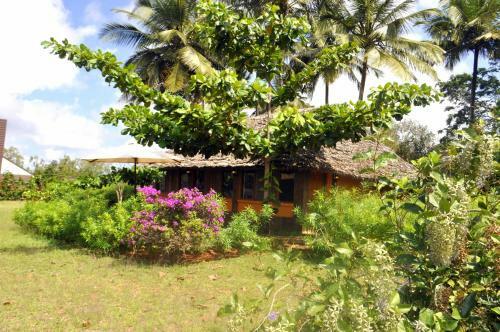 Shimba Hills Green Safari Lodge