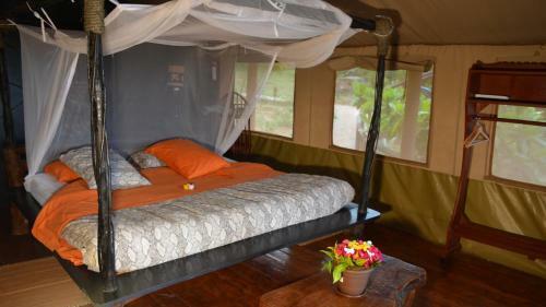 Shimba Hills Green Safari Lodge