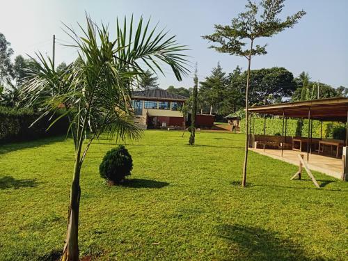 Vihiga County Vip Home