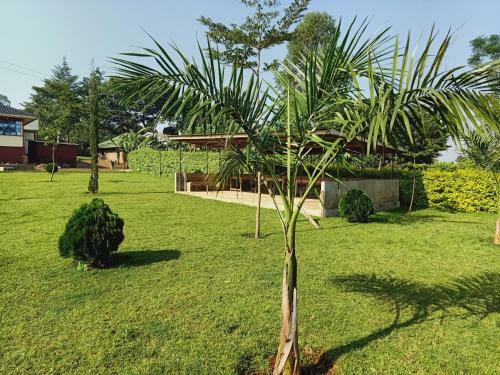 Vihiga County Vip Home