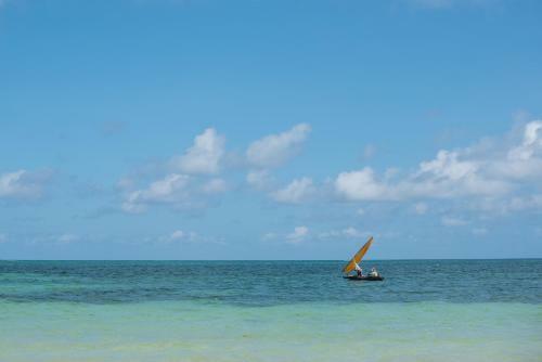 Albergue Bidi Badu Backpackers Diani