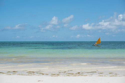 Albergue Bidi Badu Backpackers Diani