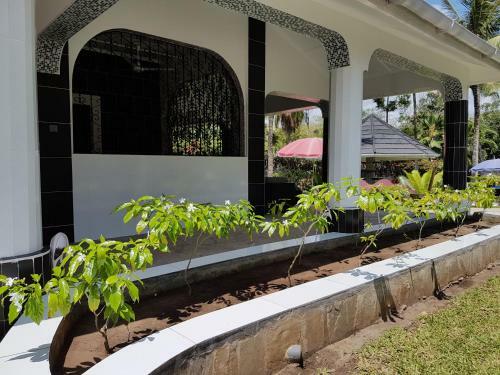 Apartamento Madiba One Cottages