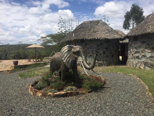 Hotel Kambi Amani