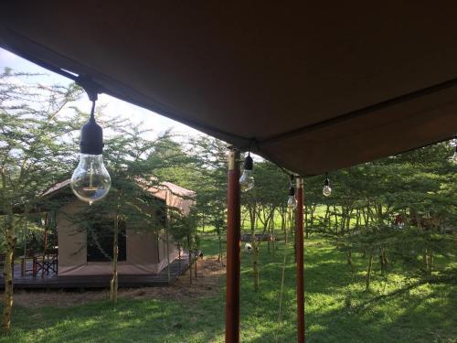 Hotel Kambi Amani