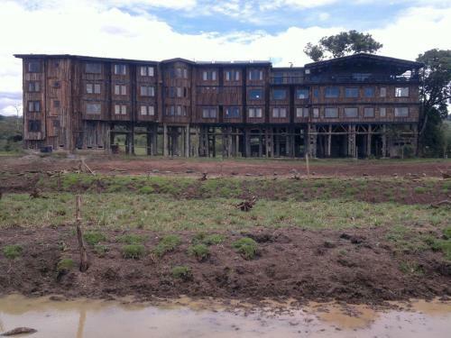 Lodge Treetops