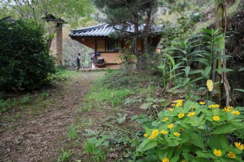 Bed & Breakfast Tea Field Guest House