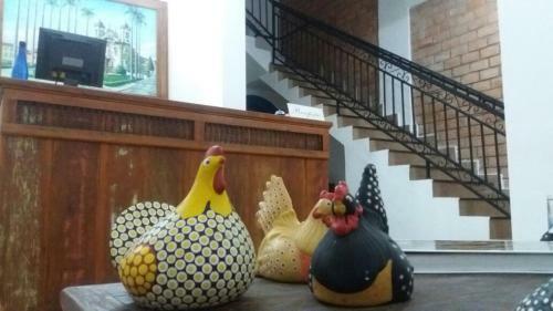 Hostal Pousada Sinh� Mo�a