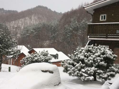 Tirol Pension
