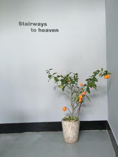 Albergue Busan Backpackers
