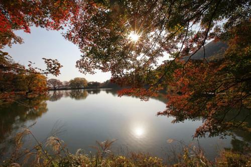 Villa Camino Jinhae