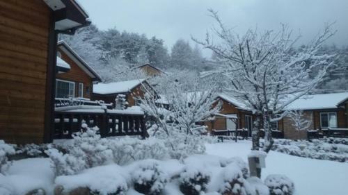 Oraview Pension