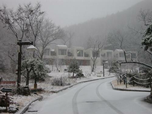 Hotel Healience Villeage