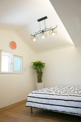 Bj- 7 Free Services With Cozy Home