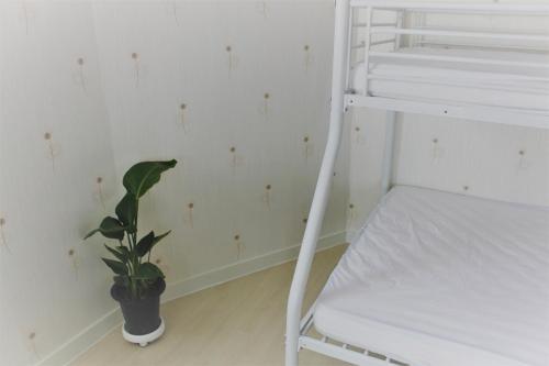 Apartamento Tavohouse Central