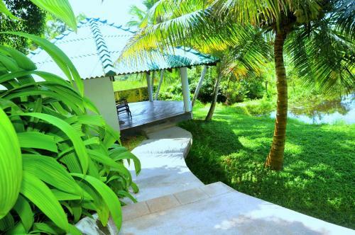 Bed & Breakfast Jungle Heart Cabanas