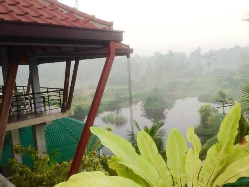 Bed & Breakfast Jungle Heart Cabanas