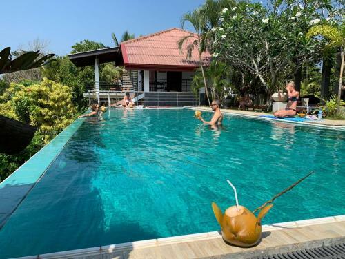 Bed & Breakfast Jungle Heart Cabanas